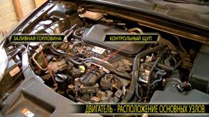 Замена масла в автомобиле на примере форд мондео 3