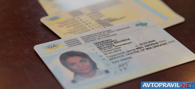 Как иностранцу получить водительские права в россии в 2022 году. может ли иностранный гражданин получить права в россии — гражданство.online