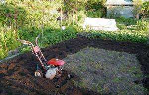 Небольшие культиваторы для обработки почвы на даче и огороде