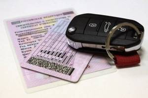 Как проверить водительское удостоверение по базе гибдд