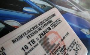 Проверка водительского удостоверения по базе гибдд