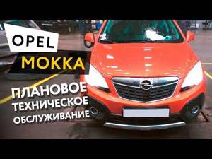 Opel mokka на вторичном рынке, отзывы, характерные неисправности, стоит ли покупать - autotopik.ru