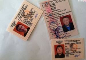 Проверка прав гибдд по водительскому удостоверению: нюансы получения результатов