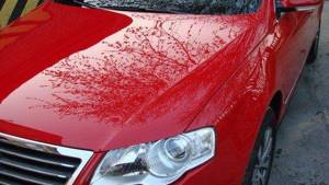 Как наносить жидкое стекло на авто: плюсы и минусы такого покрытия