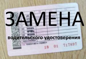 Российские водительские права за границей: где действуют и как поменять? - prian.ru