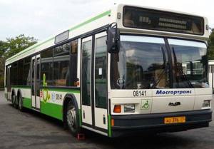 Характеристики и устройство автобуса полунизкопольного типа МАЗ-206